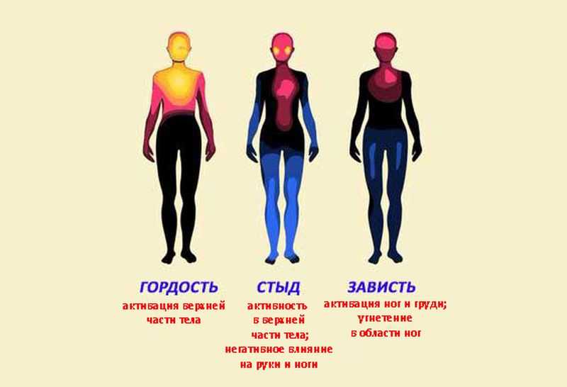 Карта эмоций в теле человека